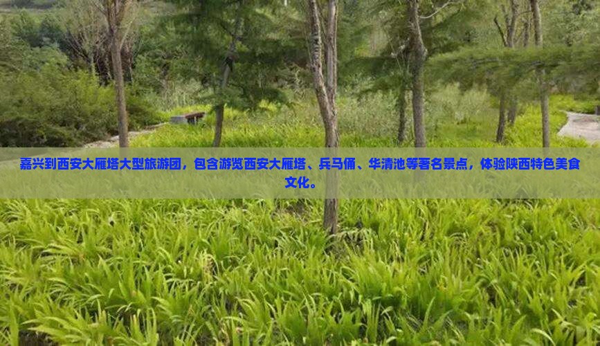 嘉兴到西安大雁塔大型旅游团