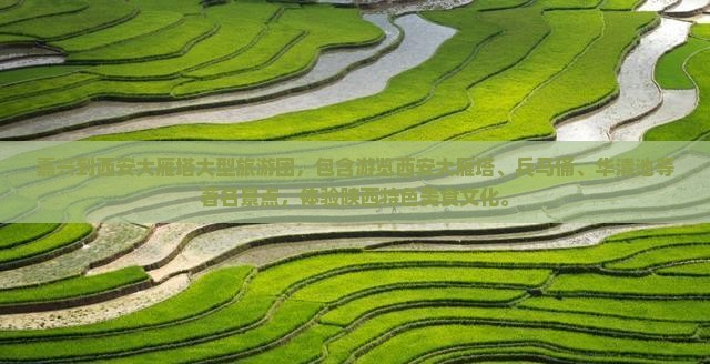 嘉兴到西安大雁塔大型旅游团
