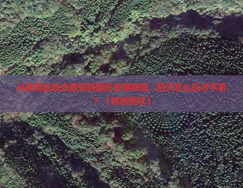 鹰潭去西安陕西历史博物馆四日游
