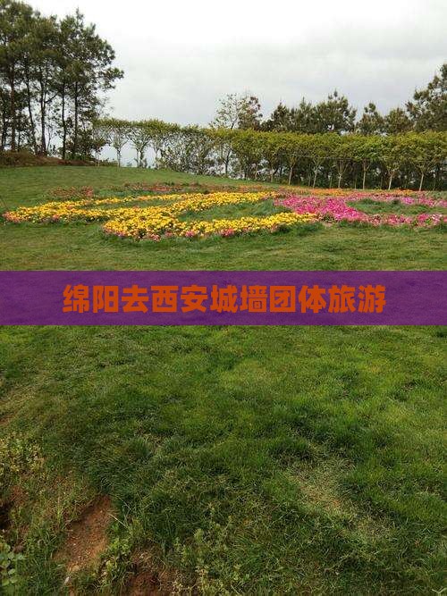 绵阳去西安城墙团体旅游