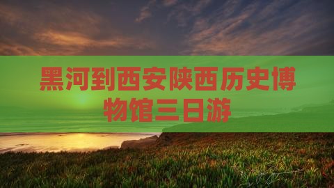 黑河到西安陕西历史博物馆三日游