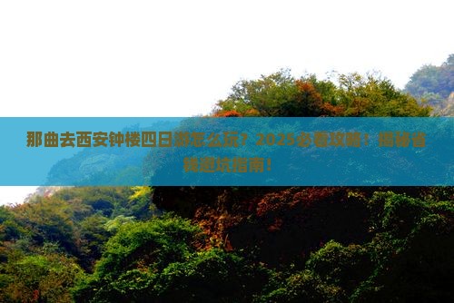 那曲去西安钟楼四日游