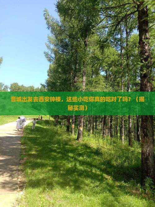 晋城去西安钟楼旅游小吃