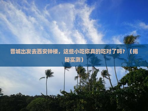晋城去西安钟楼旅游小吃