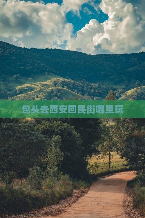 包头去西安回民街哪里玩 包头去西安回民街哪里玩