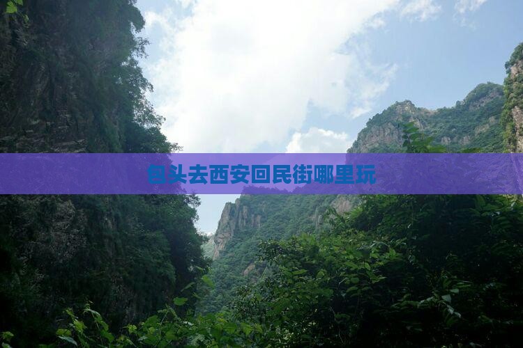 包头去西安回民街哪里玩 包头去西安回民街哪里玩