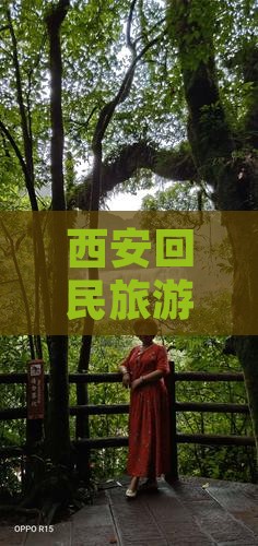 孝感去西安回民街大型旅游团