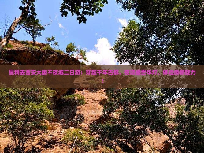 垦利去西安大唐不夜城二日游