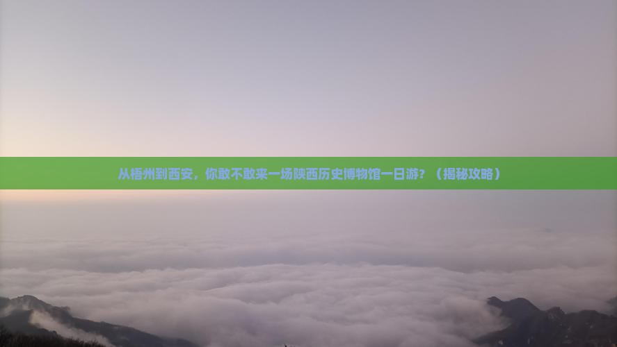 梧州去西安陕西历史博物馆一日游