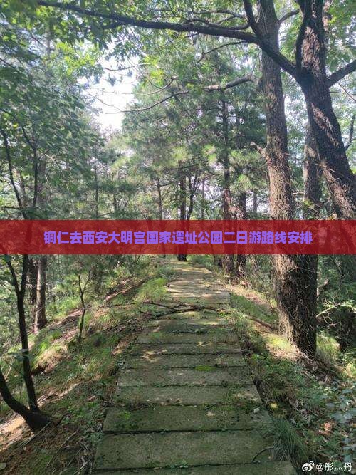 铜仁去西安大明宫国家遗址公园二日游