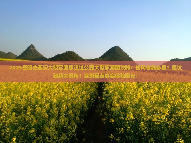 岳阳去西安大明宫国家遗址公园大型旅游团