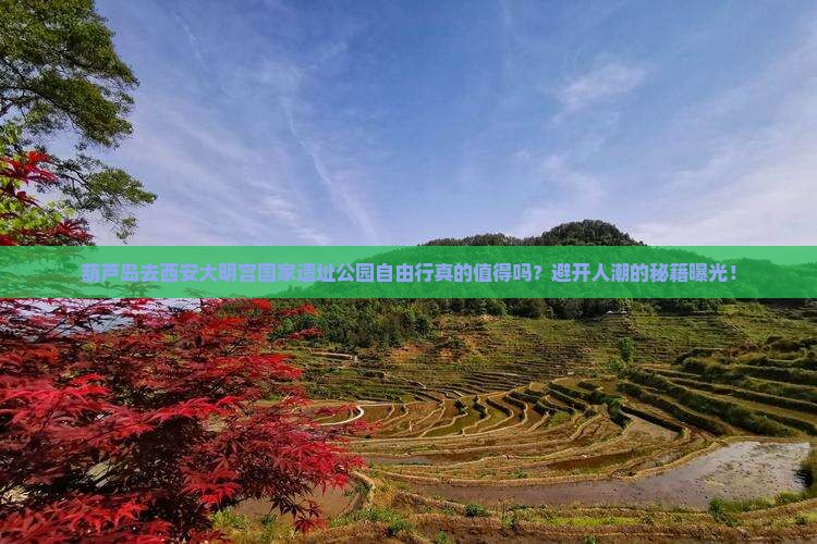 葫芦岛去西安大明宫国家遗址公园自由行