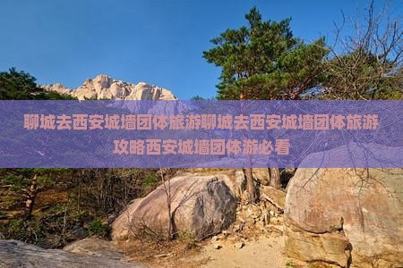 聊城去西安城墙团体旅游