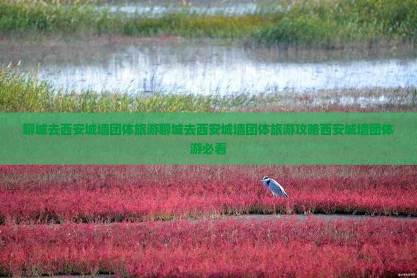 聊城去西安城墙团体旅游