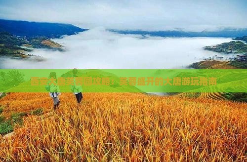 阳泉到西安大唐芙蓉园哪里玩