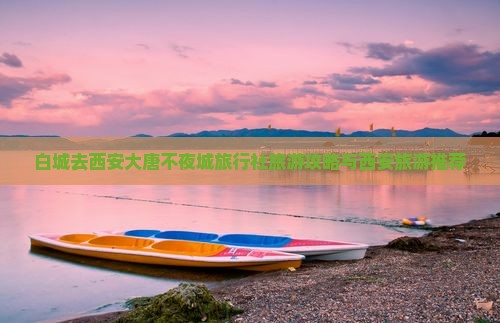 白城去西安大唐不夜城旅行社
