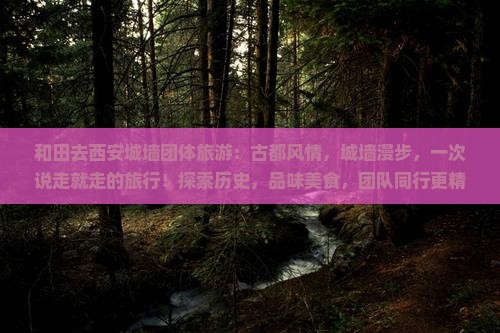 和田去西安城墙团体旅游