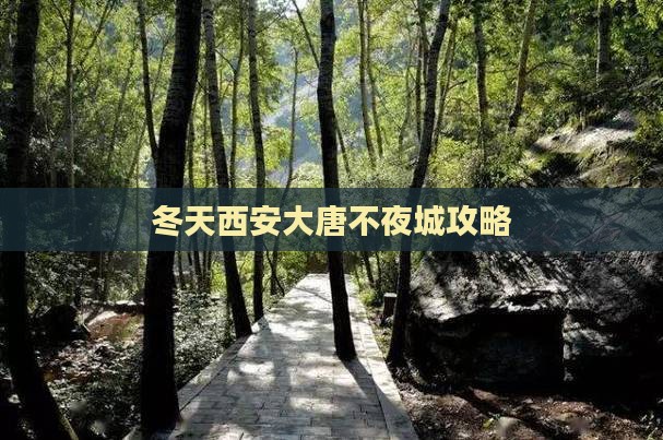 冬天到西安大唐不夜城自由行