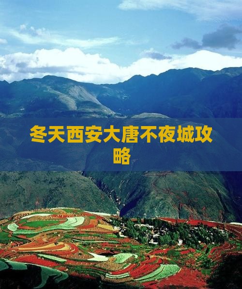 冬天到西安大唐不夜城自由行