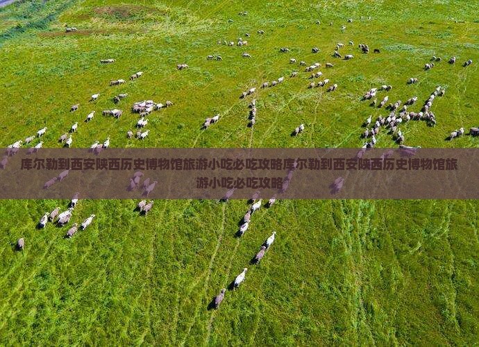 库尔勒到西安陕西历史博物馆旅游小吃