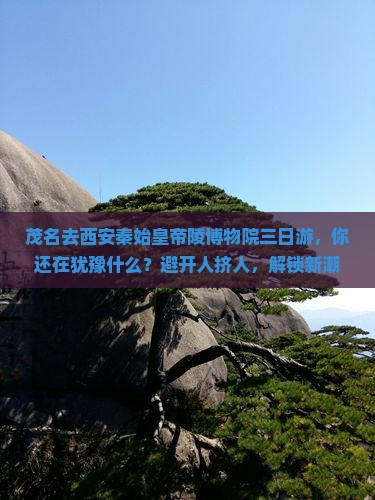 茂名去西安秦始皇帝陵博物院三日游