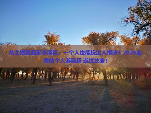 北海去西安华清宫个人游