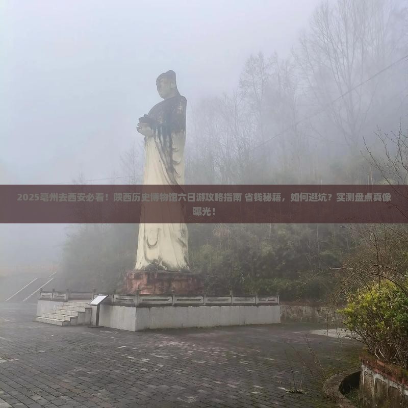 亳州去西安陕西历史博物馆六日游