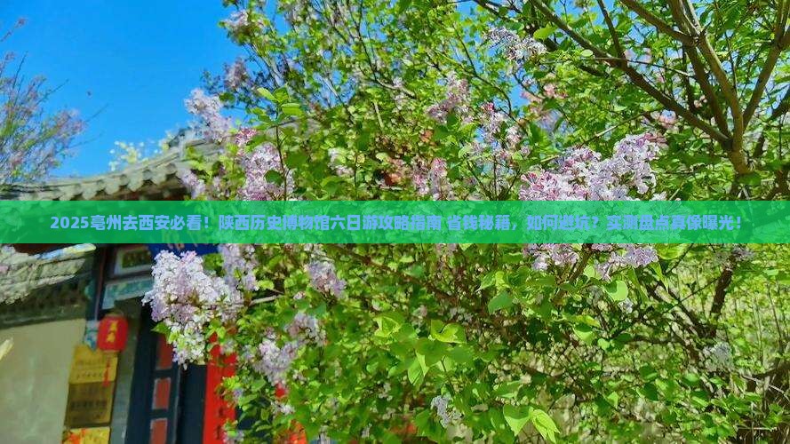 亳州去西安陕西历史博物馆六日游