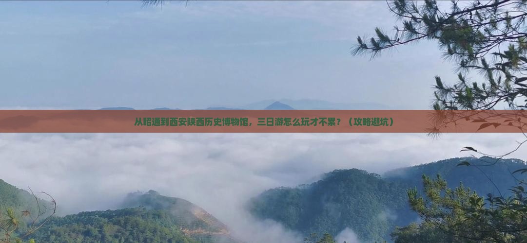 昭通去西安陕西历史博物馆三日游