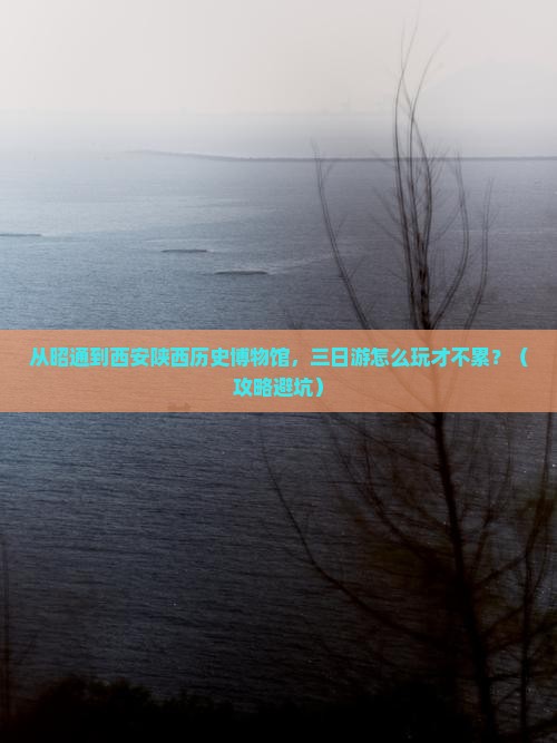 昭通去西安陕西历史博物馆三日游