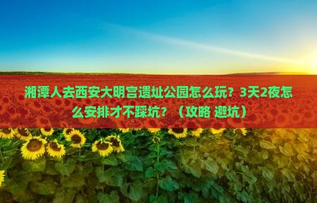 湘潭去西安大明宫国家遗址公园团体旅游 湘潭去西安大明宫国家遗址公园团体旅游