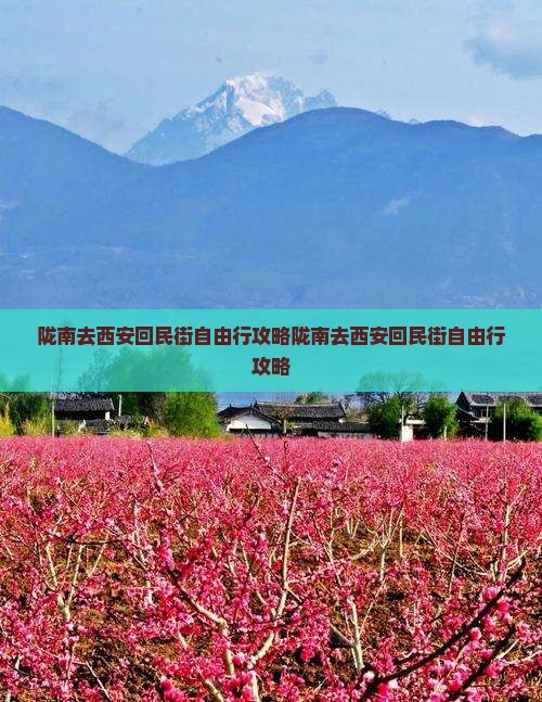 陇南去西安回民街自由行