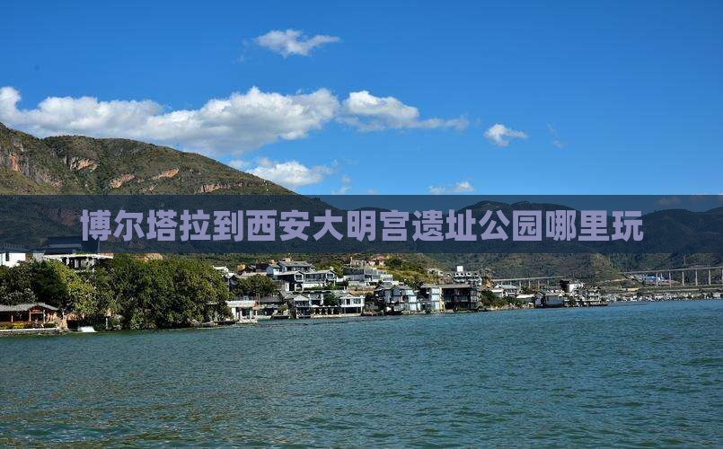 博尔塔拉到西安大明宫国家遗址公园哪里玩