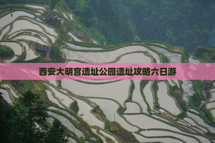 海东去西安大明宫国家遗址公园六日游