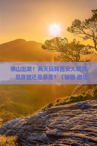 佛山去西安大明宫国家遗址公园二日游