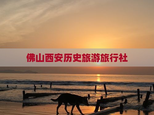佛山到西安陕西历史博物馆旅行社