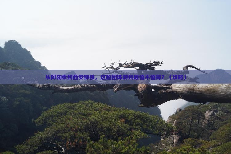 阿勒泰去西安钟楼团体旅游