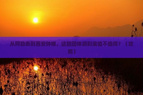 阿勒泰去西安钟楼团体旅游