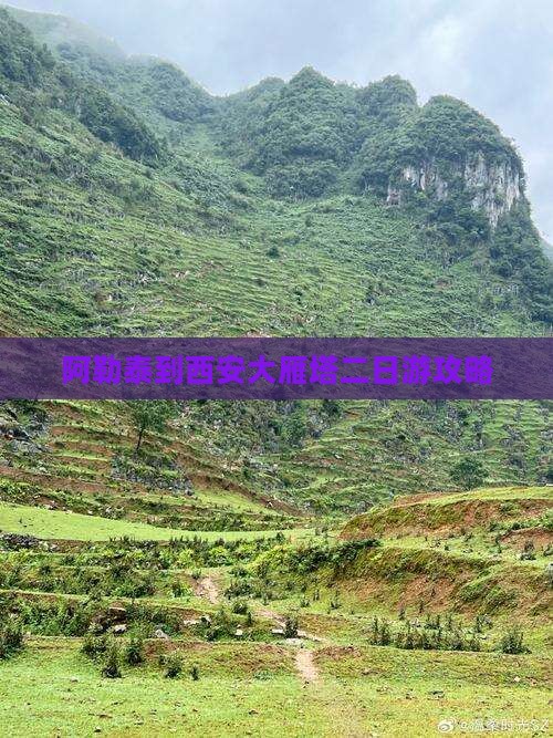 阿勒泰去西安大雁塔二日游
