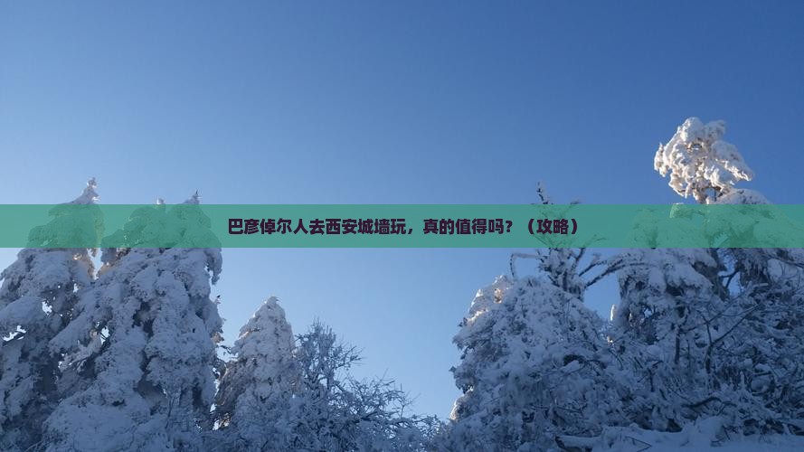 巴彦倬尔去西安城墙团体旅游