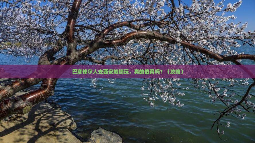 巴彦倬尔去西安城墙团体旅游