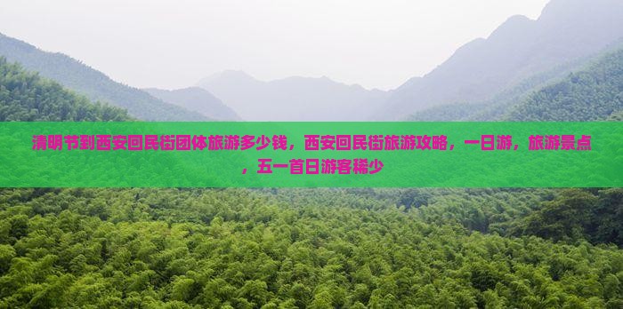 清明节到西安回民街团体旅游 清明节到西安回民街团体旅游