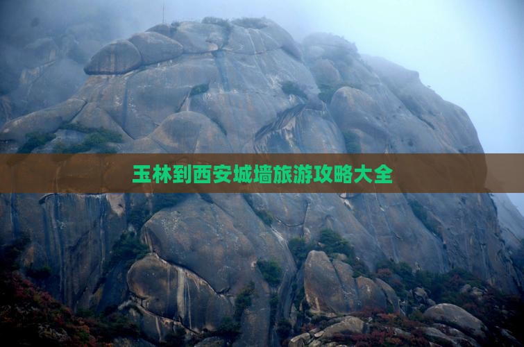 玉林到西安城墙大型旅游团