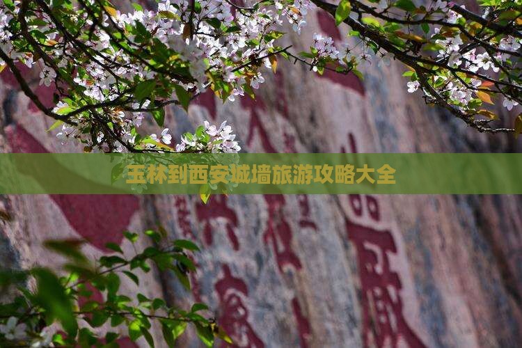 玉林到西安城墙大型旅游团