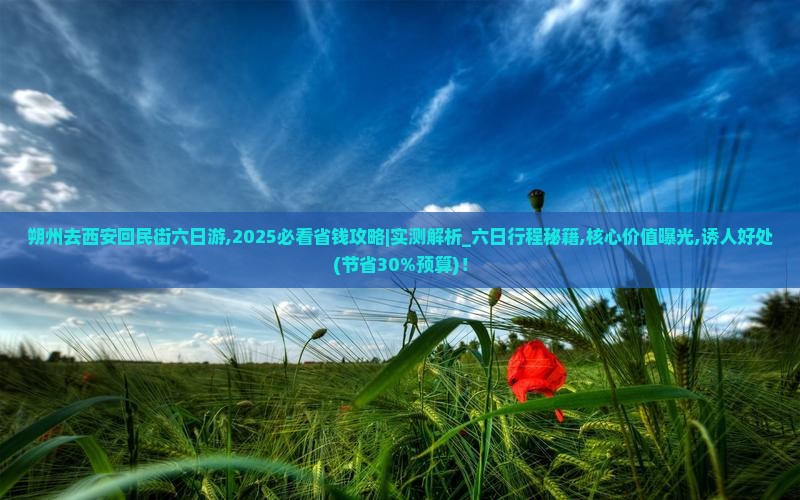 朔州去西安回民街六日游