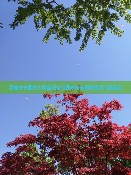 嘉峪关去西安大明宫国家遗址公园攻略