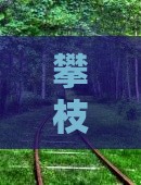 攀枝花去西安华清宫门票