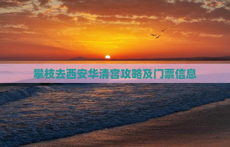 攀枝花去西安华清宫门票