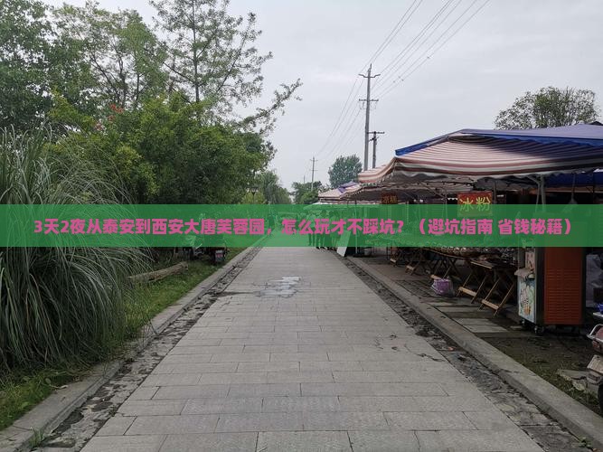 泰安到西安大唐芙蓉园个人游