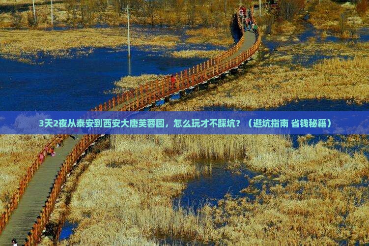 泰安到西安大唐芙蓉园个人游